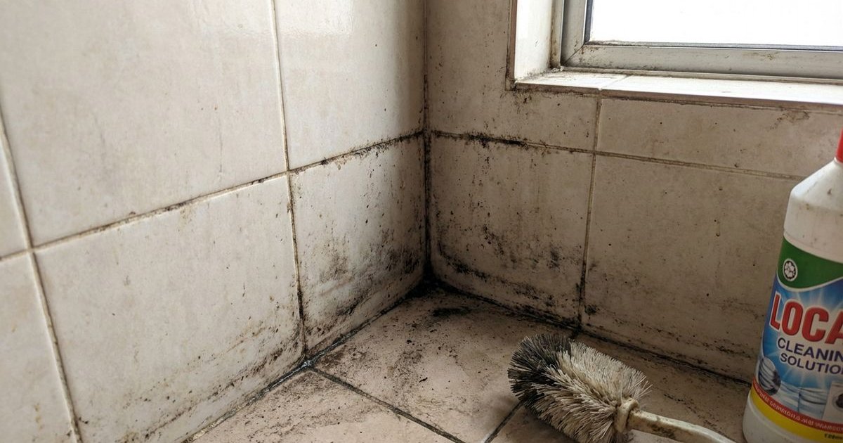 7 Signs Your Home Needs a Deep Cleaning Service